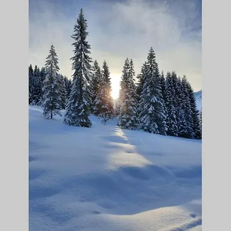 Flohytta Stryn