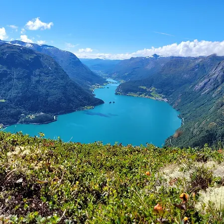 Semesterbostad Flohytta