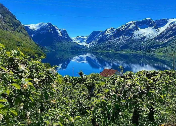 Casa de Férias Flohytta